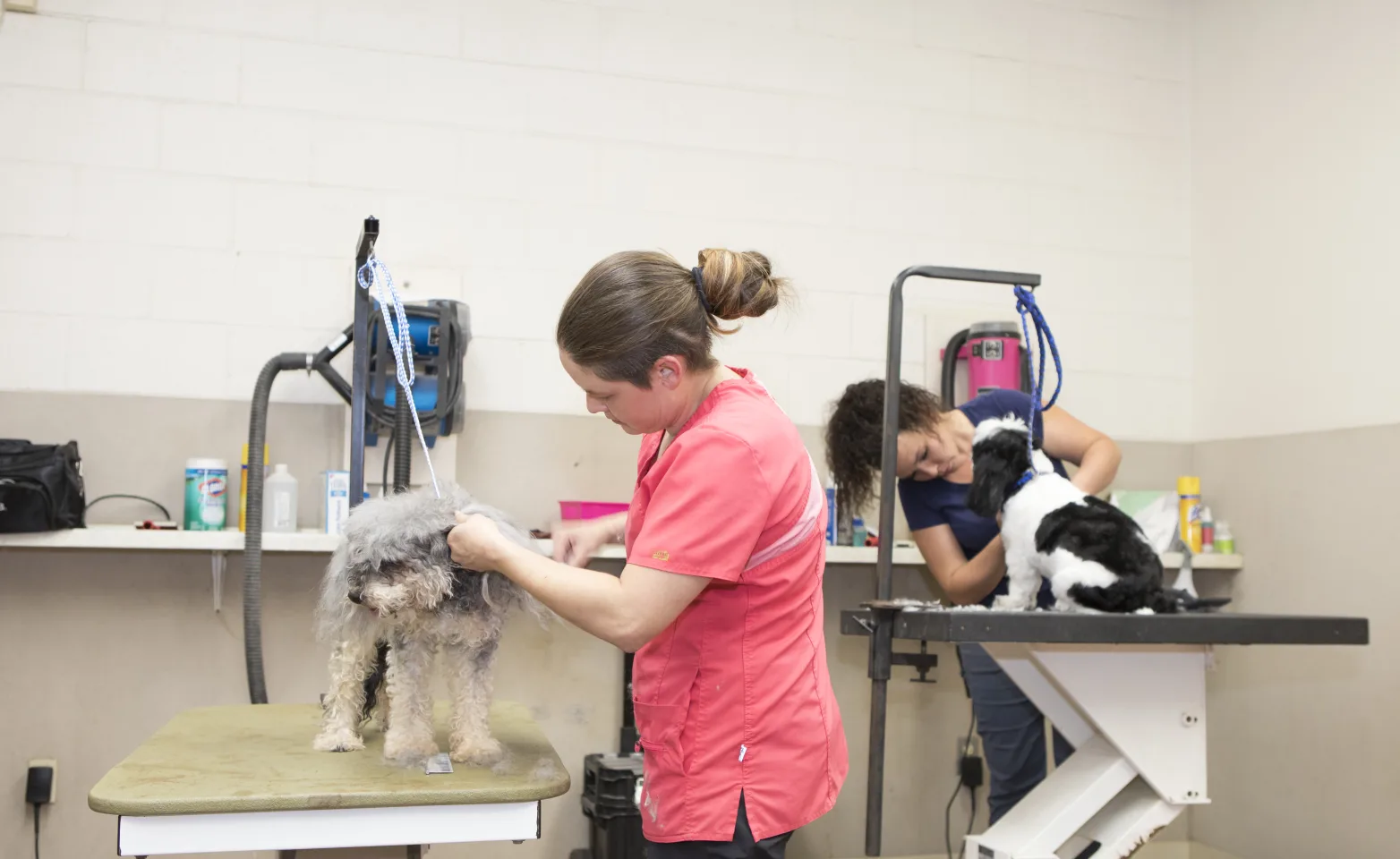 Grooming stations at Canine Country Club & Feline Inn
